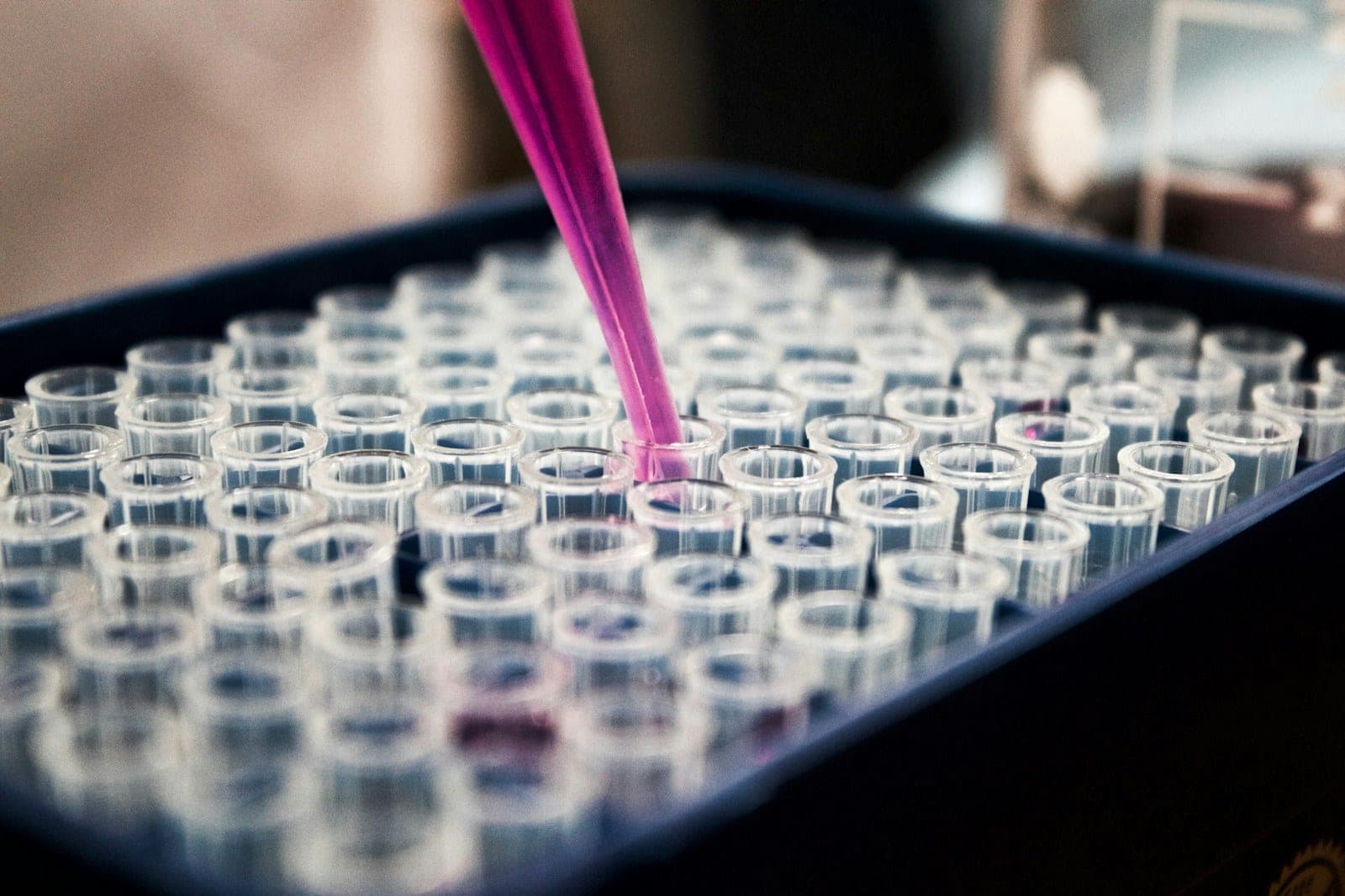 The Role of Halal Certification in Modern Gelatin Supply — technical article from Halal Gelatin
